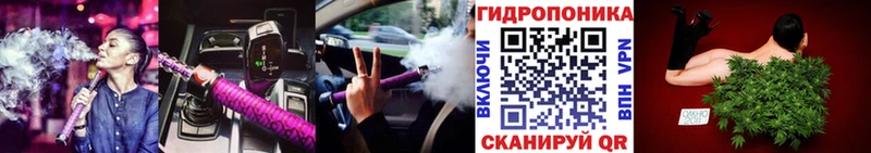Купить где Кумертау Бошки Шишки Bruce Banner